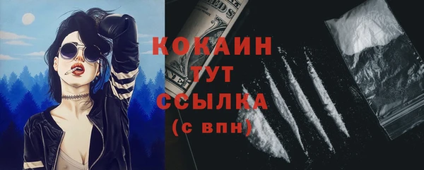 прущий лед Инсар