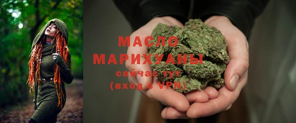 прущий лед Инсар