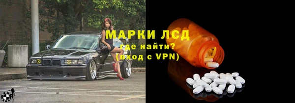 прущий лед Инсар