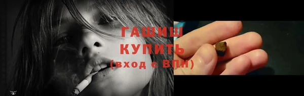 mix Инта