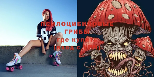 mix Инта