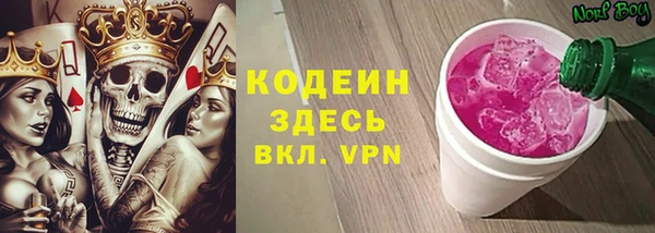 mix Инта