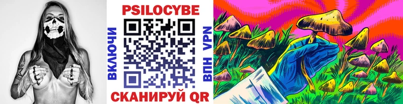 Псилоцибиновые грибы MAGIC MUSHROOMS  Купить  Амурск 